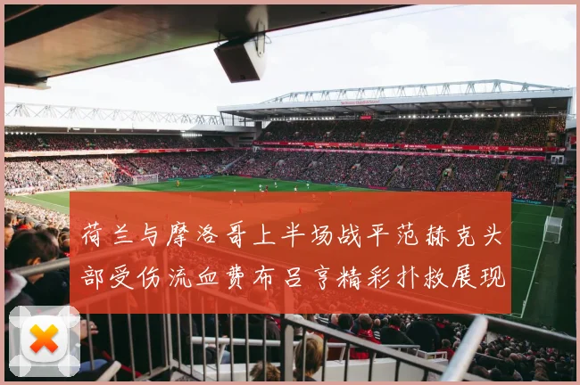 荷兰与摩洛哥上半场战平范赫克头部受伤流血费布吕亨精彩扑救展现实力