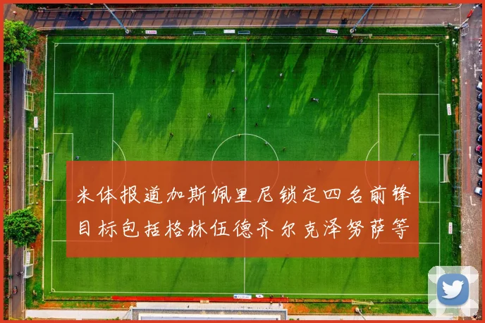米体报道加斯佩里尼锁定四名前锋目标包括格林伍德齐尔克泽努萨等人